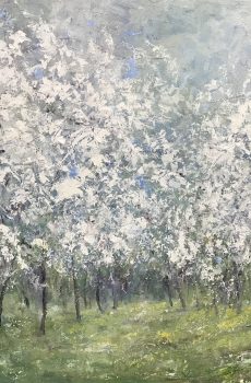 Kirschblüten | Andreas Geißel