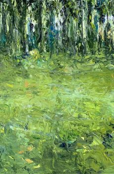 Birkenwald | Andreas Geißel