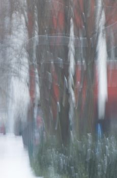 City Symphony (3). Anatoly Rudakov